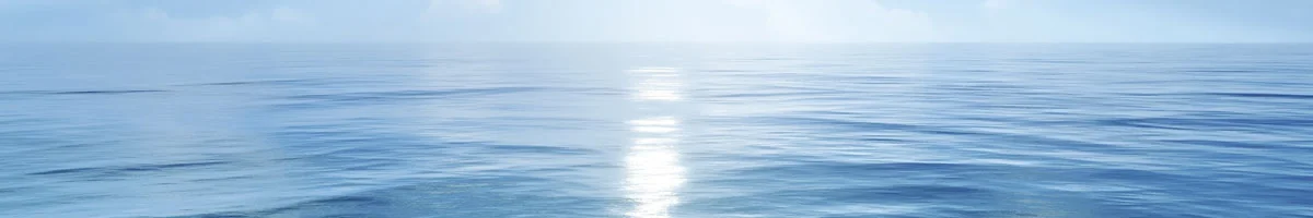 Lakeside Landing Inc