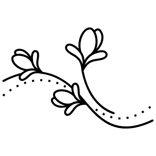 Capshaw RV Park – RV Community in North Alabama