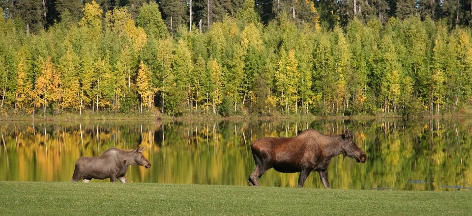 Parks & Recreation Dept