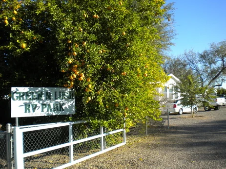 Green & Lush Rv Park