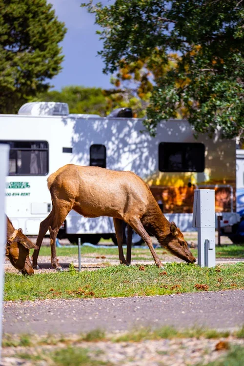 Trailer Village RV Park