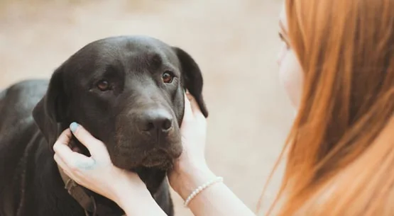 Desert's Edge Rv Park