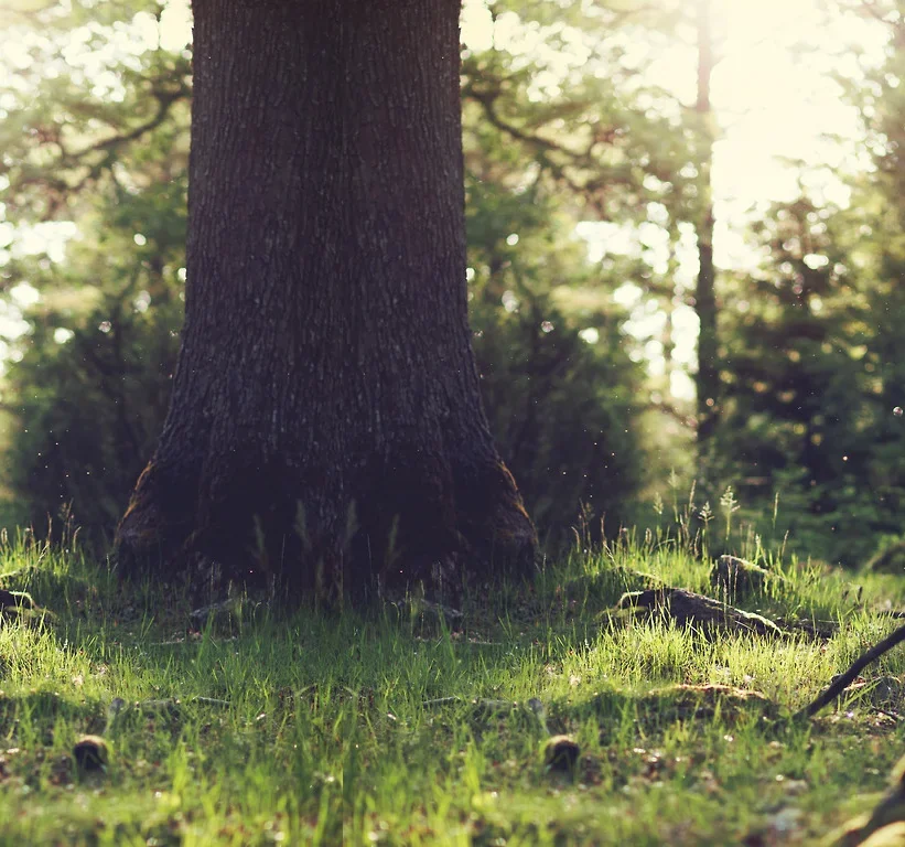 Pine Creek Rv Park & Mini