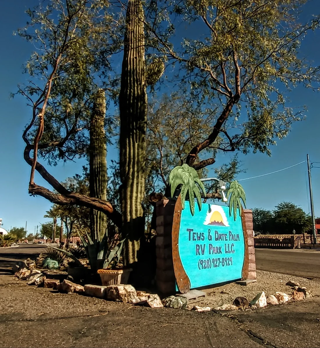 Tews Date Palm Rv Park