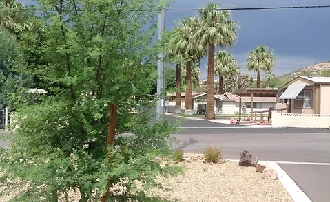 Desert Cypress Trailer Ranch