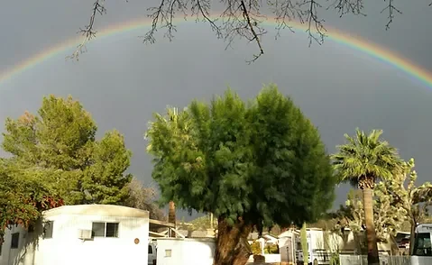 Desert Cypress Trailer Ranch