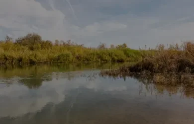 Cocopah Bend Rv & Golf Resort