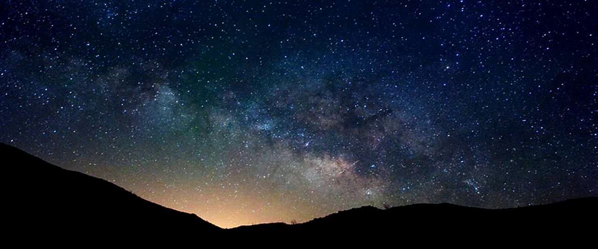 Leapin' Lizard Rv Ranch