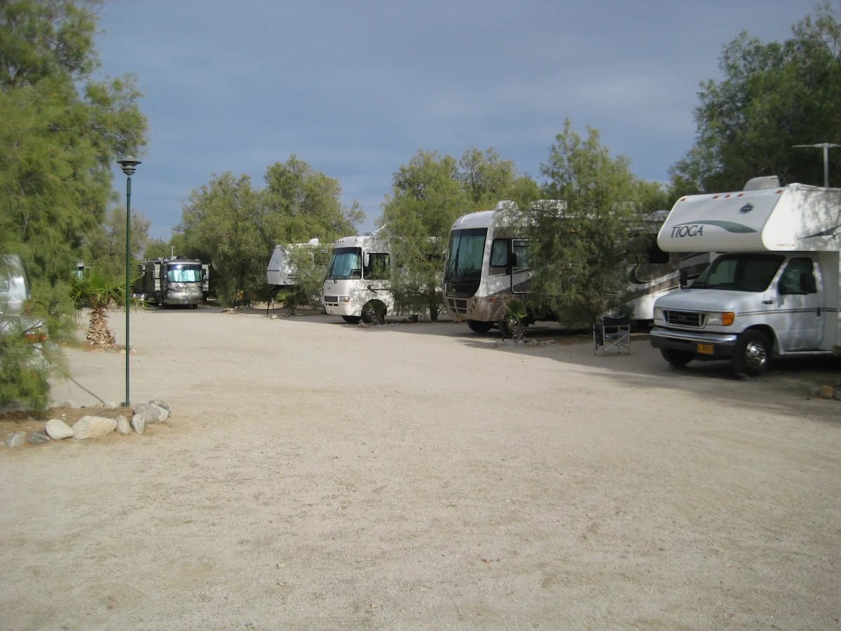 Leapin' Lizard Rv Ranch