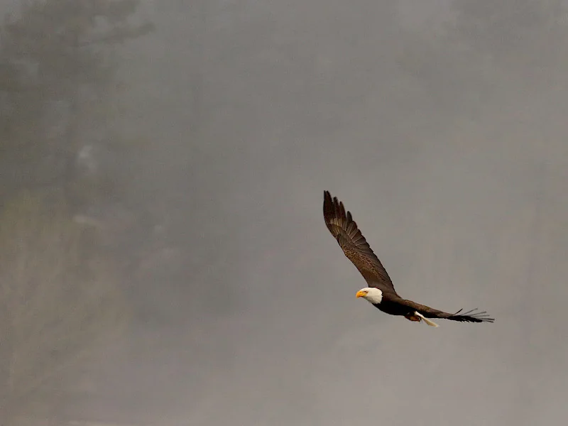 Lake Hemet Campgrounds
