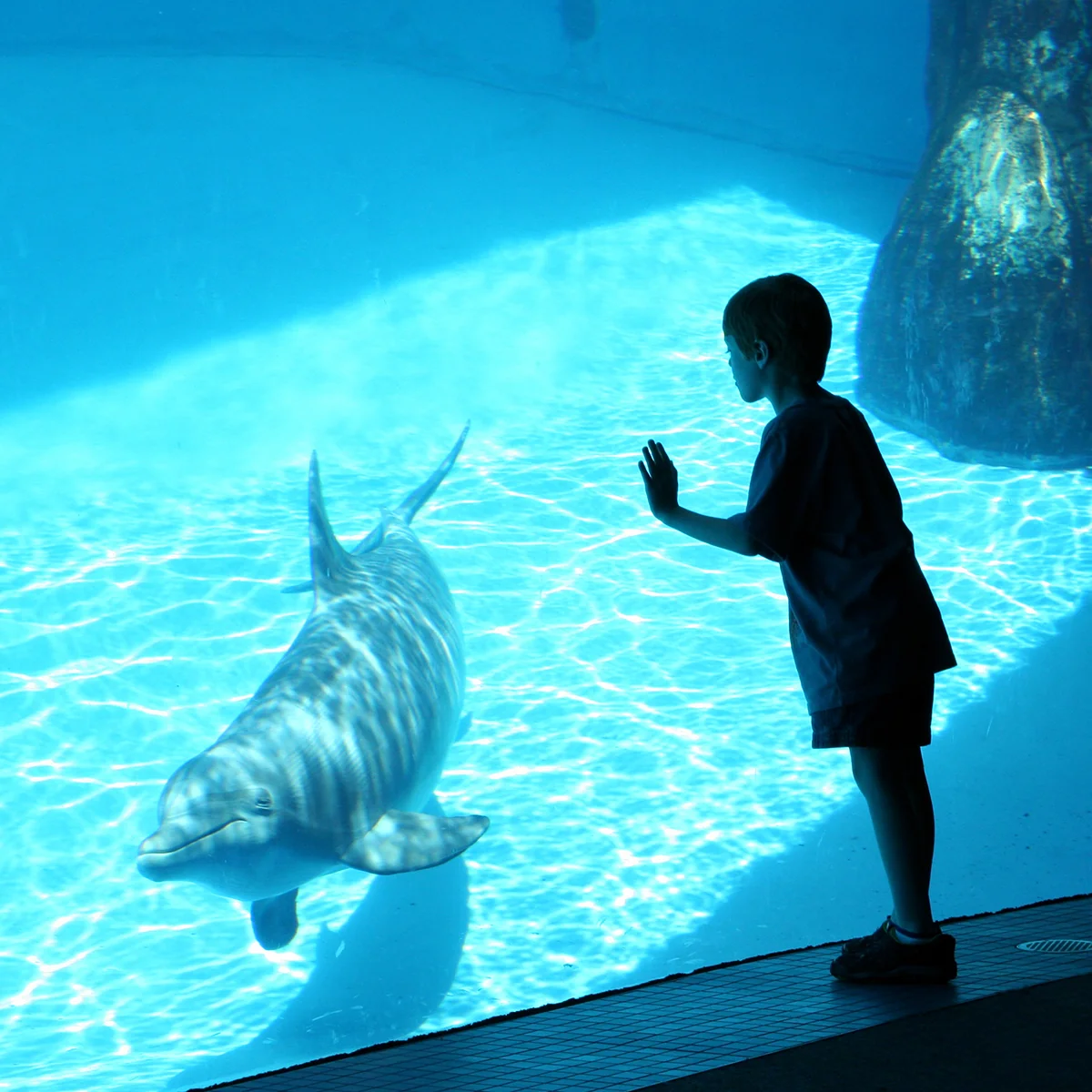 Santa Fe Park Trailer & Rv Pk