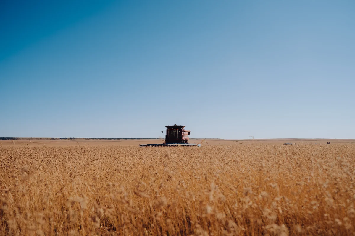 Ronald & Claire Curtis