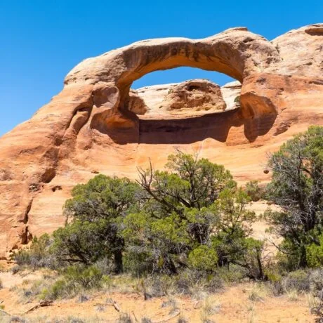 RV Ranch at Grand Junction