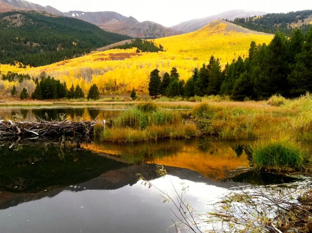 Sugar Loafin' Campground