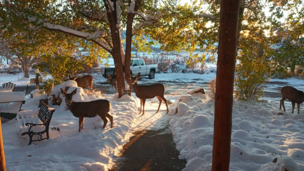 Rim Rock Campgrounds