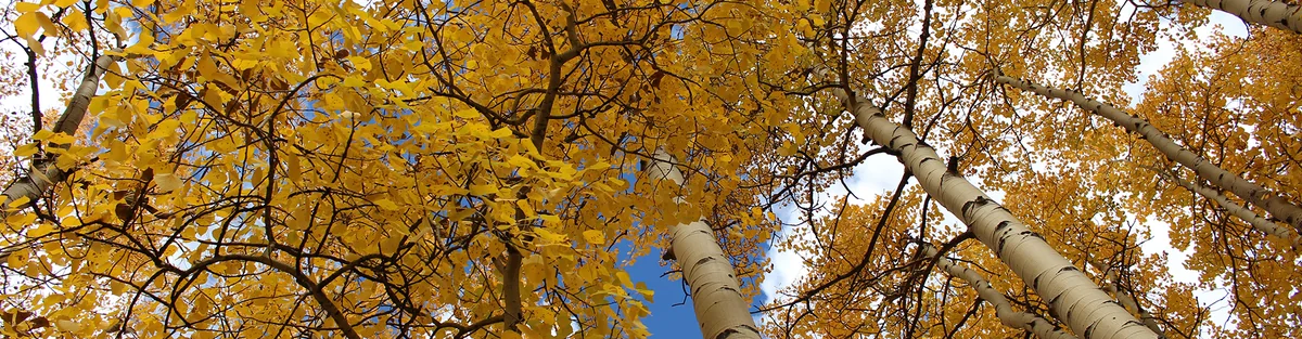 Aspen Acres Campground Inc