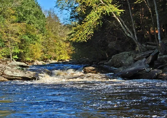 Nickerson Park Camp Grounds