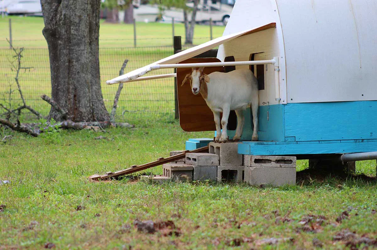 Travelers Campground