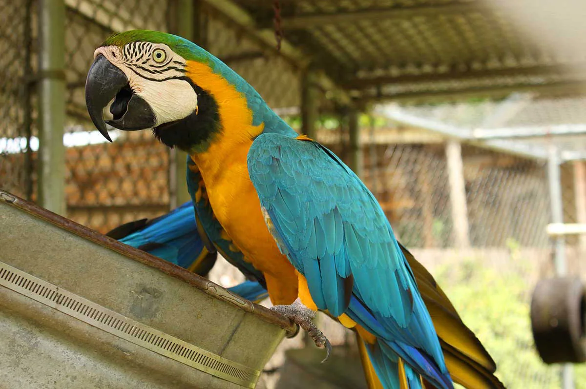 Travelers Campground