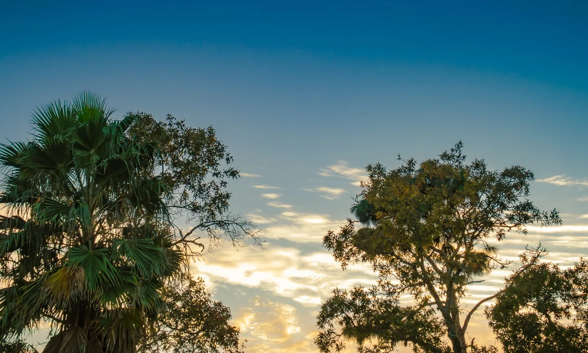 Cody's Rv & Recreational Park