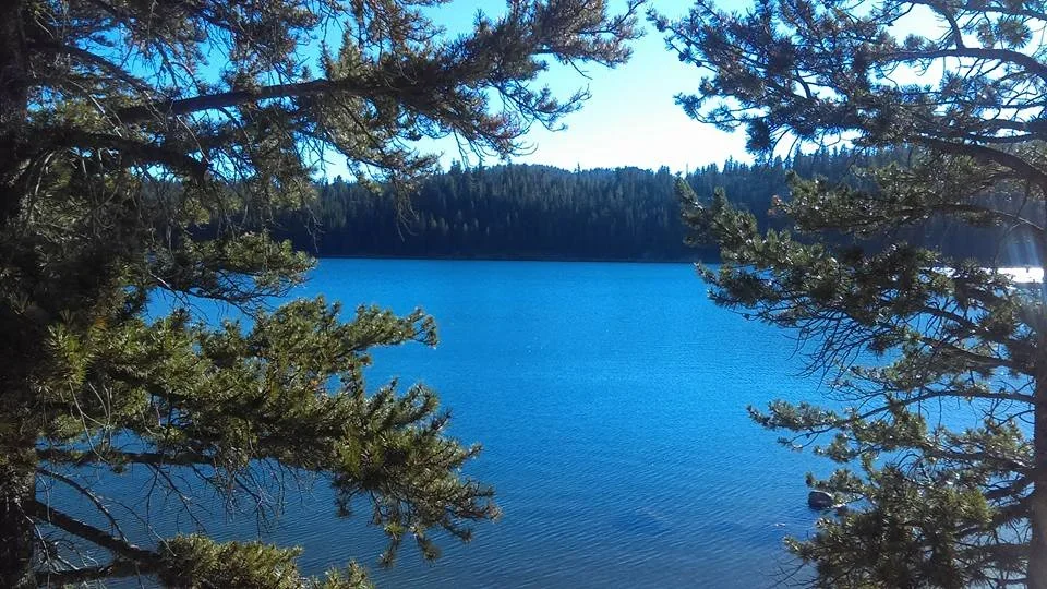 Salt Springs Recreation Area