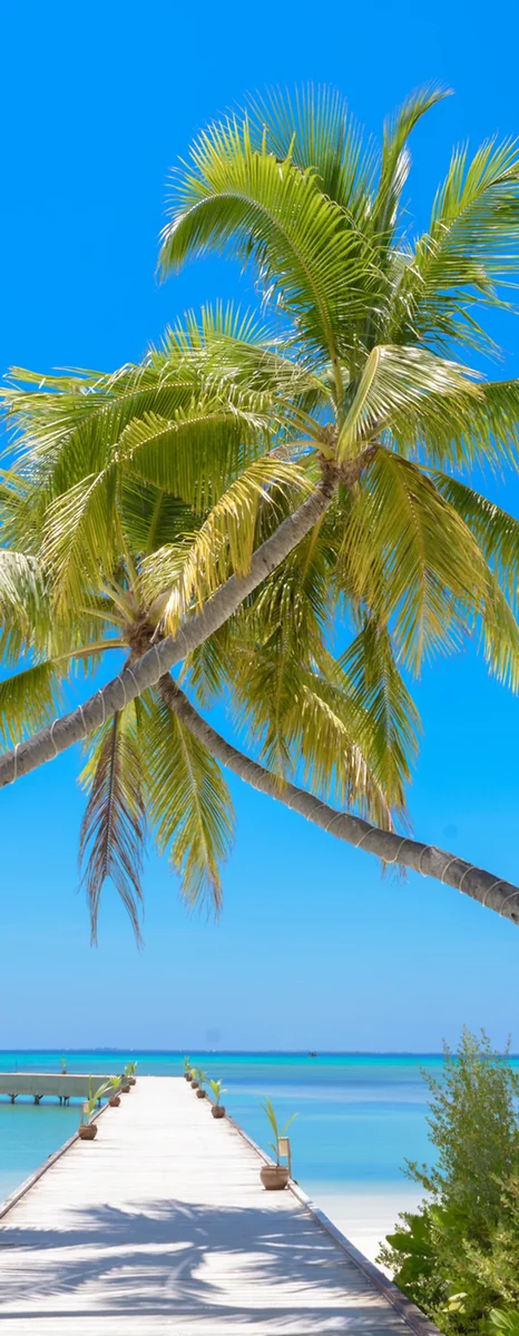 San Carlos Rv Park & Islands