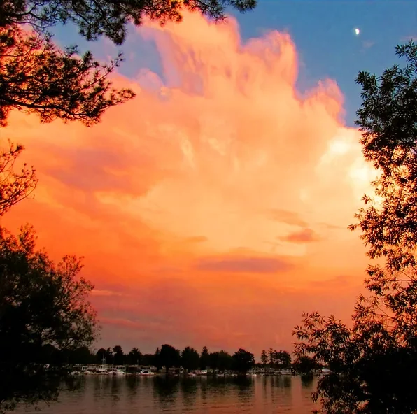 San Carlos Rv Park & Islands