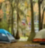 Spirit Of The Suwannee