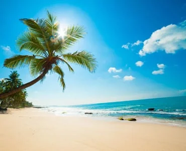 Seven Springs Travel Park