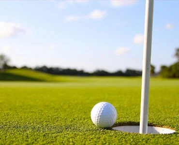 Seven Springs Travel Park