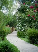 Wilderness Rv Resort