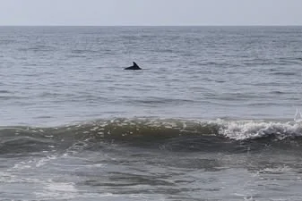 Rivers End Campground & Rv Pk