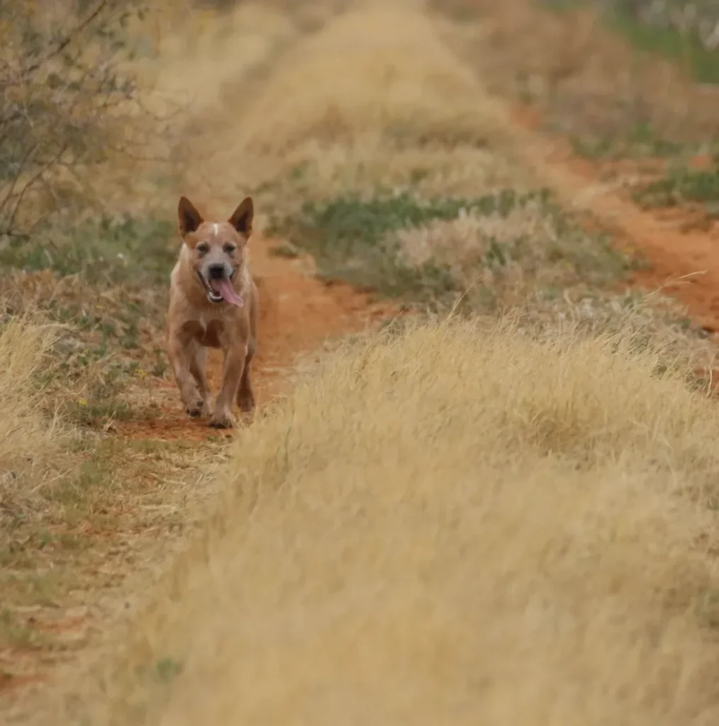 Mountain View Rv Park