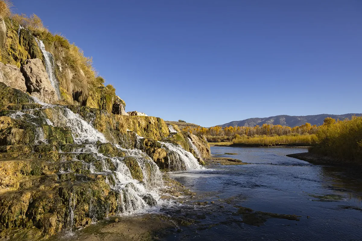 Rendezvous At South Fork
