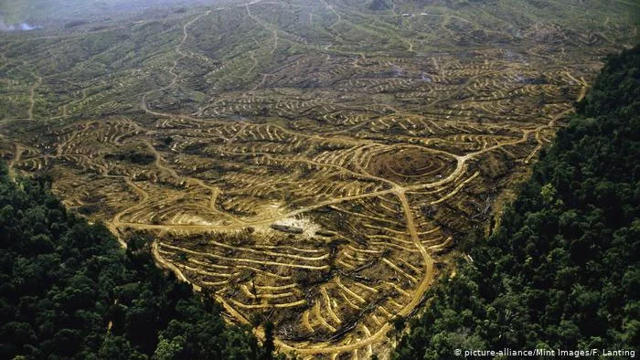 Winnebago County Forest Preser