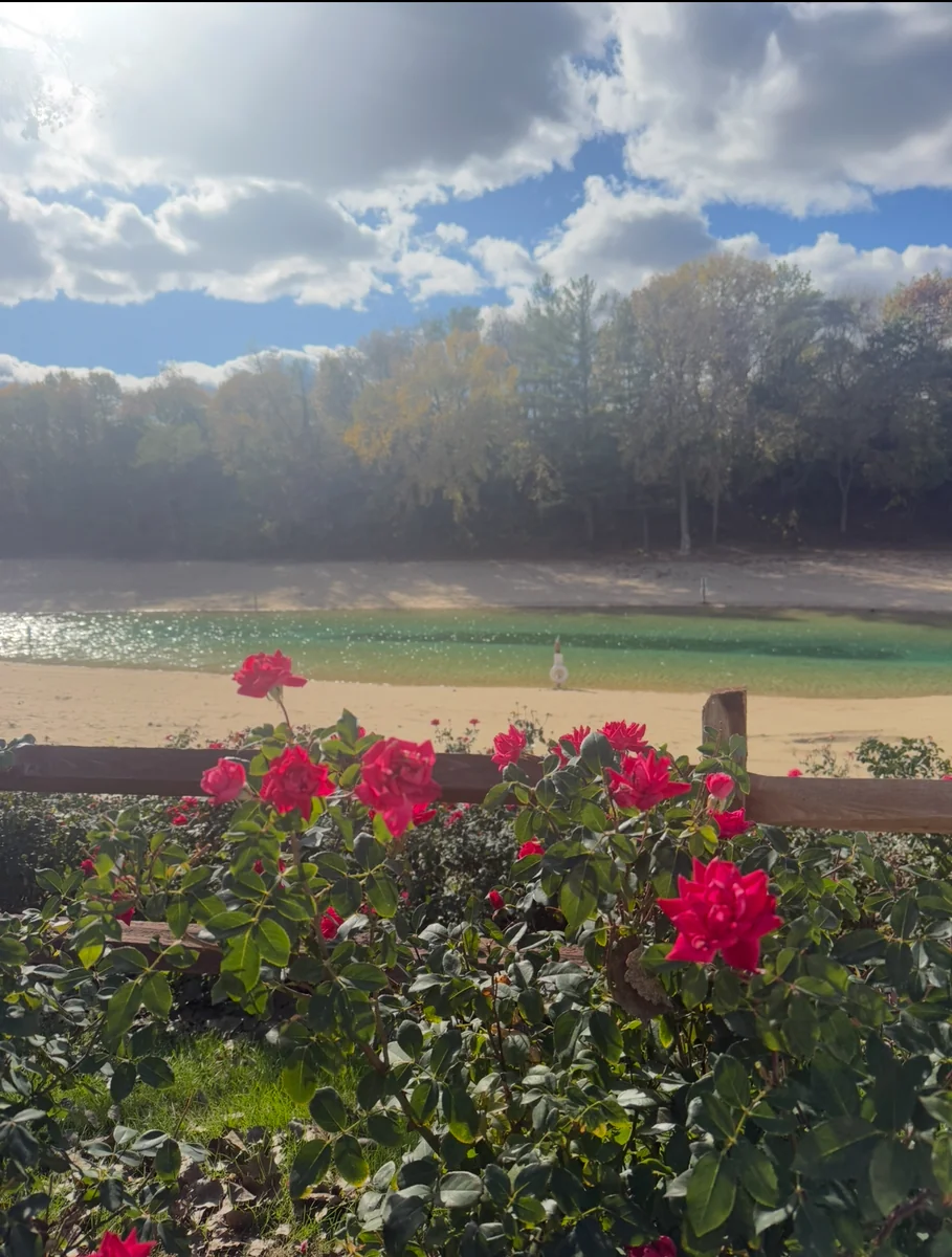 Pearl Lake Camping Grounds