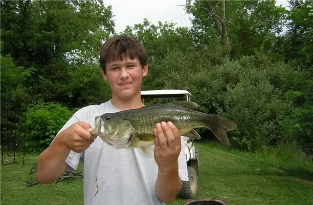 Stonefort Campground