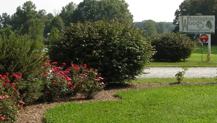 Whittington Woods Campground
