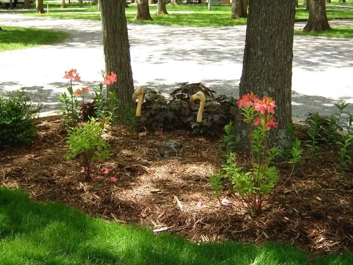 Whittington Woods Campground