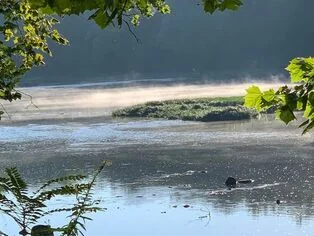 Tall Sycamore Campgrounds