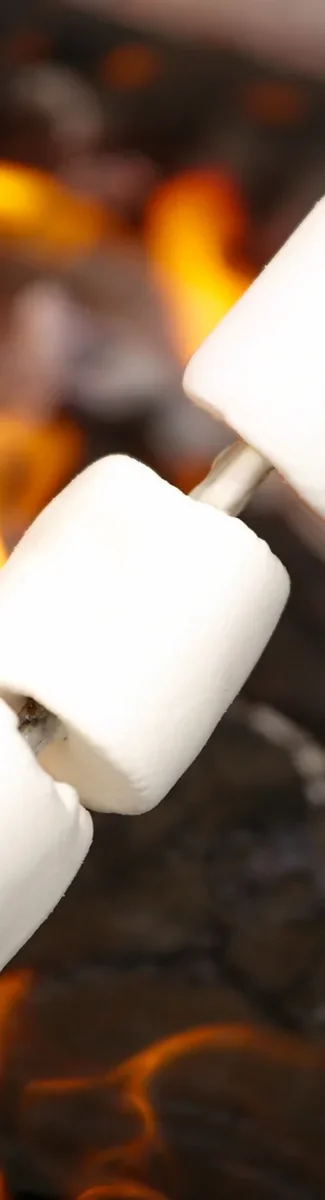 Deer Ridge Camping Resort