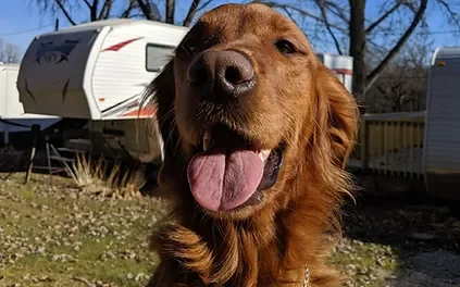 Andy Mountain Campground