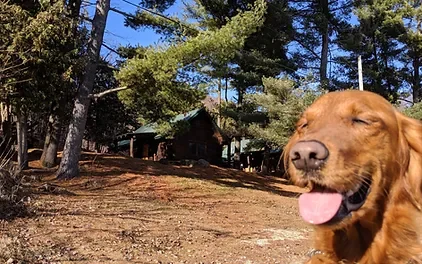 Andy Mountain Campground