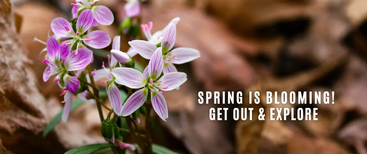 Honey Creek State Park