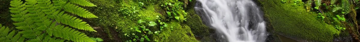 Saulsbury Bridge Recreation