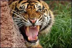 Forbes Landing Rv Park