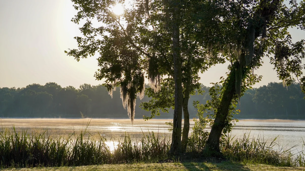 Cypress Lake Rv Resort