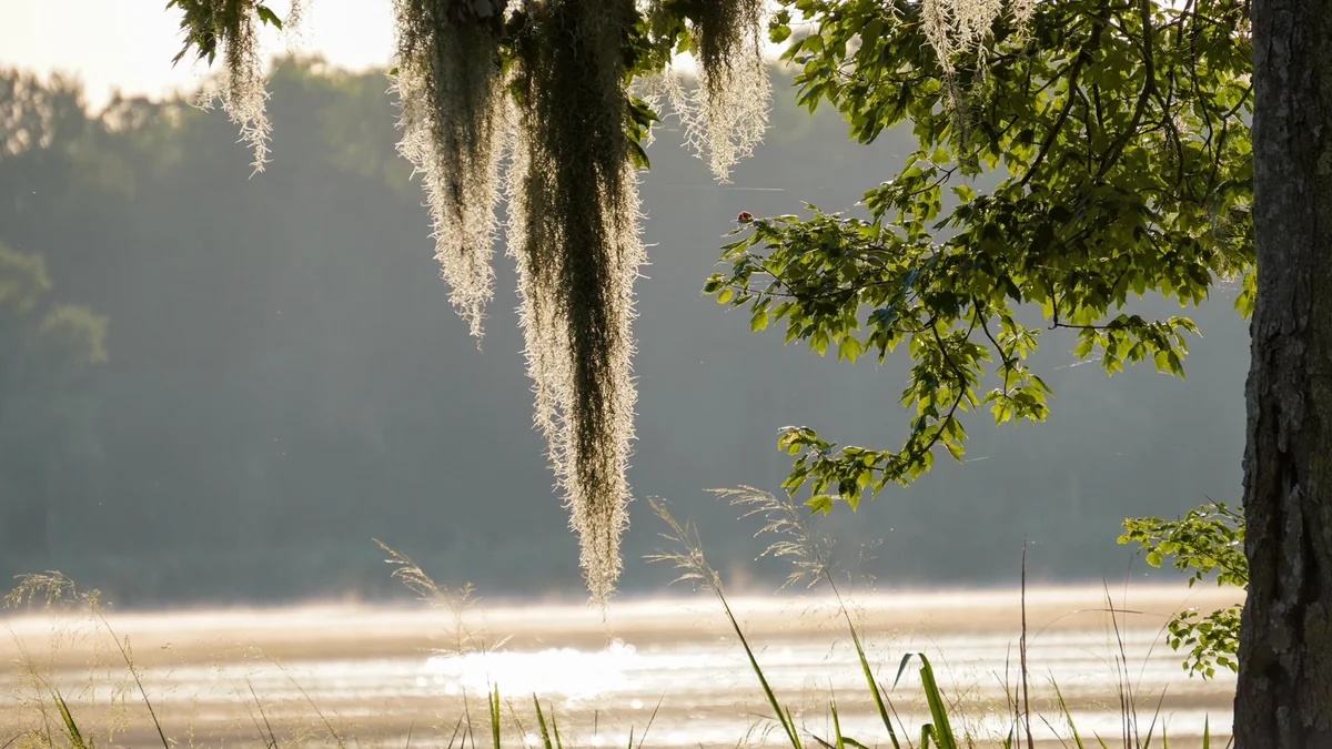Cypress Lake Rv Resort