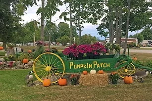 Pumpkin Patch Rv Resort