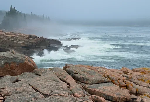 Pumpkin Patch Rv Resort